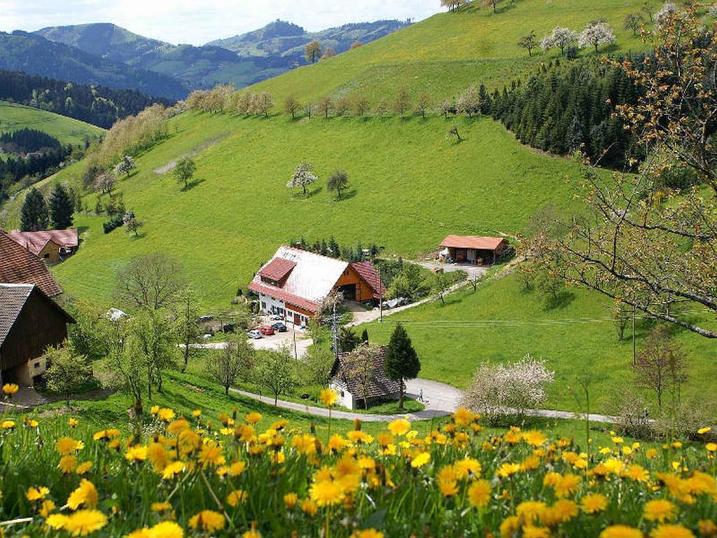 Ferienwohnung Unterer Gurethshof Zell am Harmersbach Exterior foto