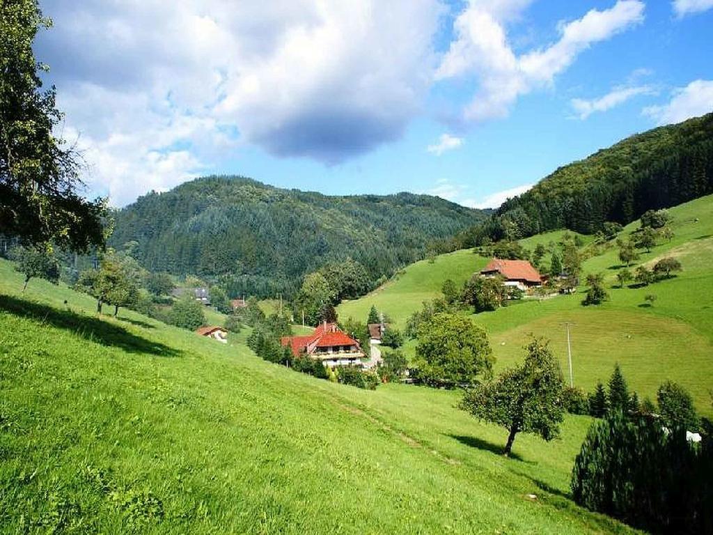 Ferienwohnung Unterer Gurethshof Zell am Harmersbach Exterior foto