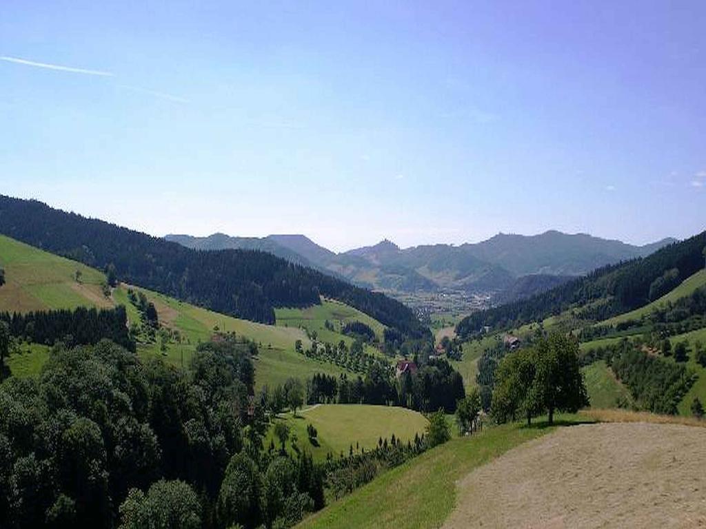 Ferienwohnung Unterer Gurethshof Zell am Harmersbach Exterior foto