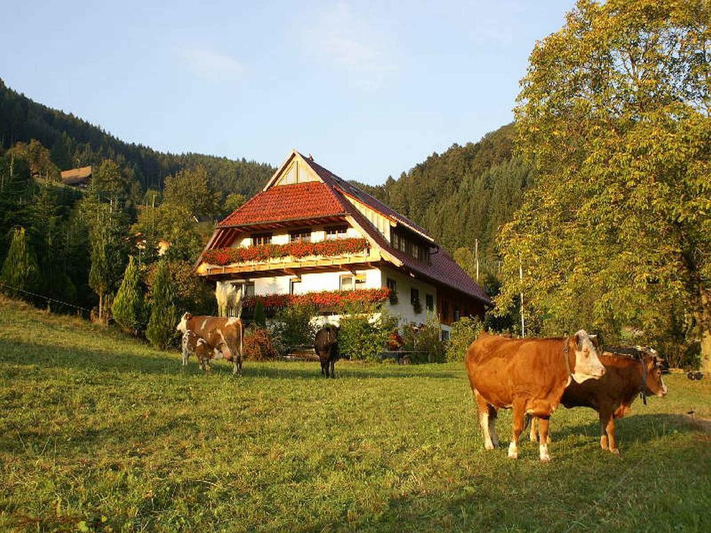 Ferienwohnung Unterer Gurethshof Zell am Harmersbach Exterior foto