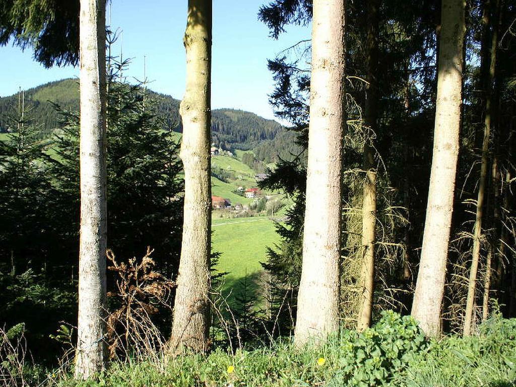 Ferienwohnung Unterer Gurethshof Zell am Harmersbach Exterior foto